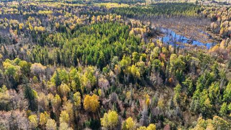 3451 Drummond Grade Two Harbors MN 55616