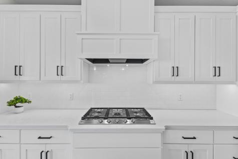 10122 Shadyview Lane N Maple Grove MN 55311