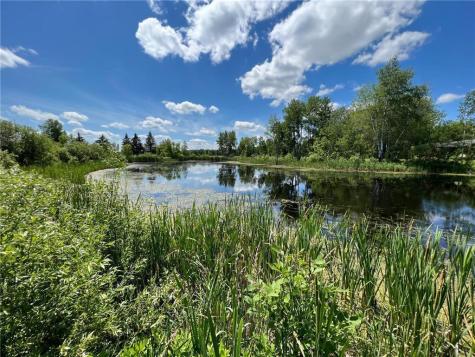 59923 County Road 261 Bigfork MN 56628