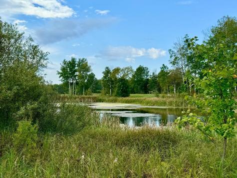 59923 County Road 261 Bigfork MN 56628