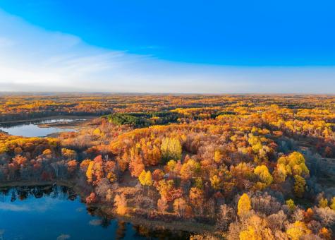 30871 Sunset Road Detroit Lakes MN 56501