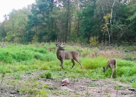 30871 Sunset Road Detroit Lakes MN 56501