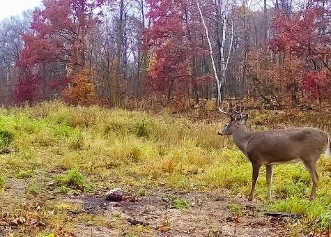 30871 Sunset Road Detroit Lakes MN 56501