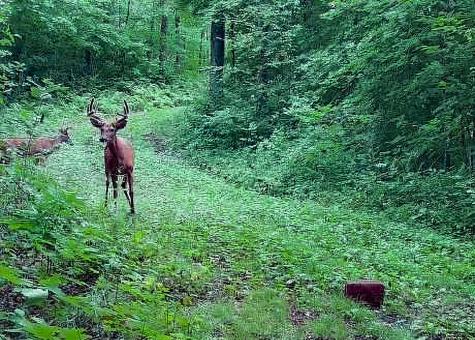 30871 Sunset Road Detroit Lakes MN 56501