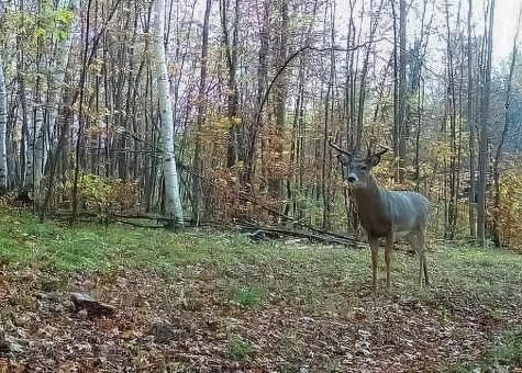 30871 Sunset Road Detroit Lakes MN 56501