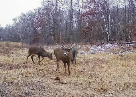 30871 Sunset Road Detroit Lakes MN 56501