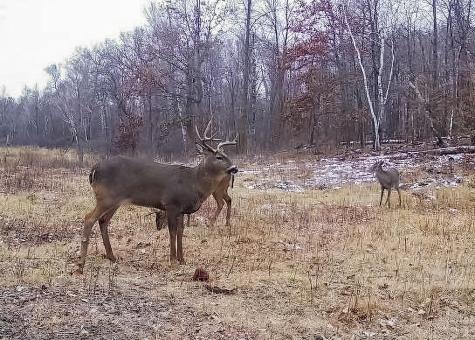 30871 Sunset Road Detroit Lakes MN 56501