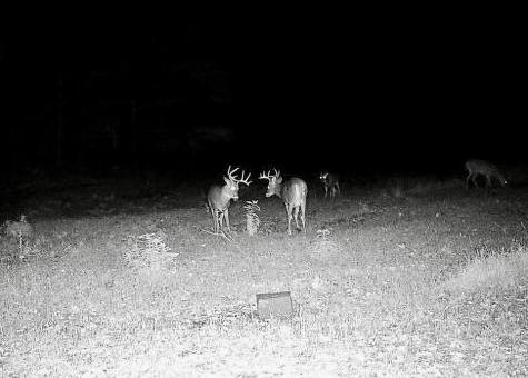 30871 Sunset Road Detroit Lakes MN 56501