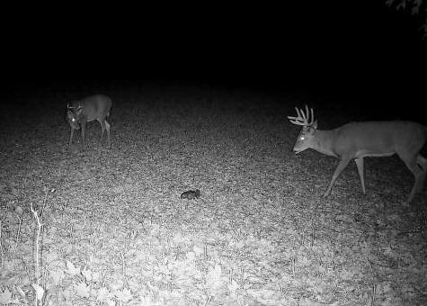 30871 Sunset Road Detroit Lakes MN 56501