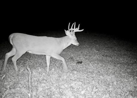 30871 Sunset Road Detroit Lakes MN 56501