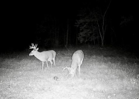 30871 Sunset Road Detroit Lakes MN 56501