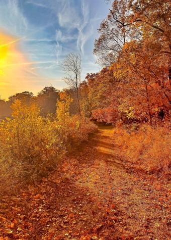 30871 Sunset Road Detroit Lakes MN 56501