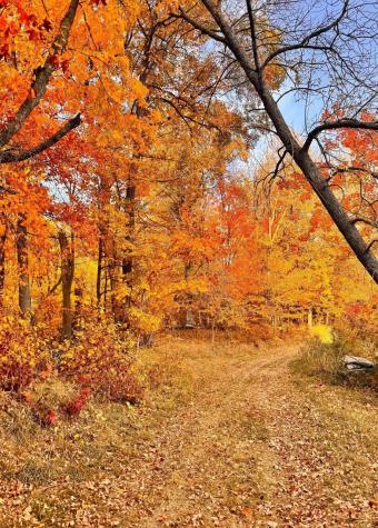 30871 Sunset Road Detroit Lakes MN 56501