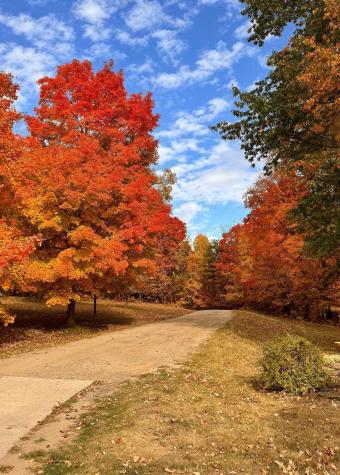 30871 Sunset Road Detroit Lakes MN 56501