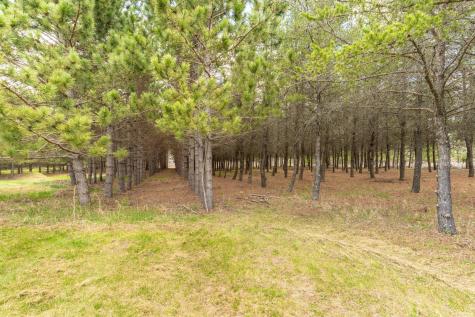 47500 County Highway 51 Perham MN 56573