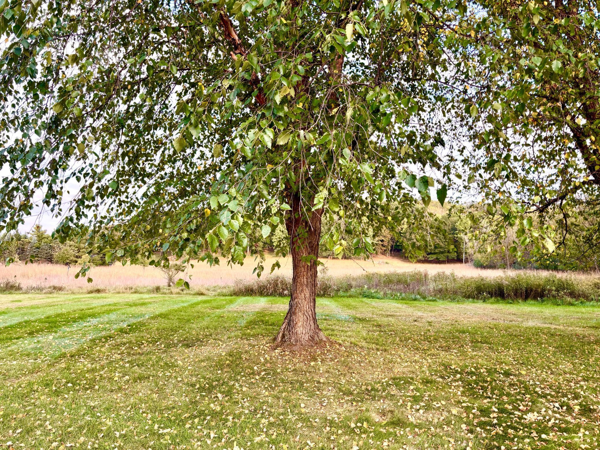 14995 42nd Street S Afton MN 55001