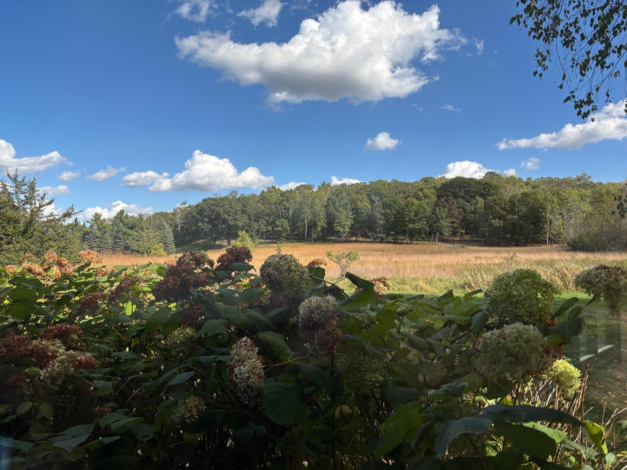 14995 42nd Street S Afton MN 55001