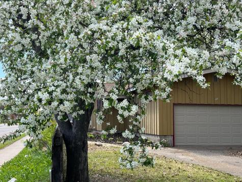 122 Craig Way NE Fridley MN 55432
