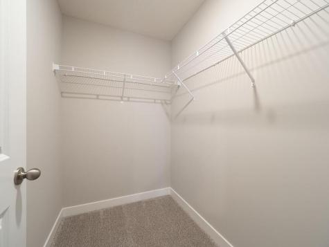 10691 Bent Pine Lane Woodbury MN 55129