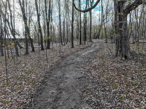 21945 County 38 Long Prairie MN 56347