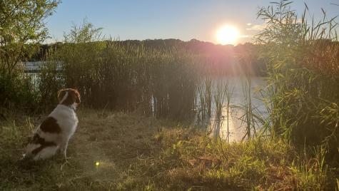 6560 Norris Lake Road NW Elk River MN 55330