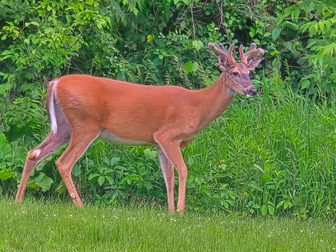 6560 Norris Lake Road NW Elk River MN 55330