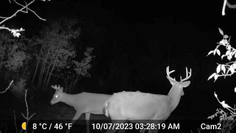 6560 Norris Lake Road NW Elk River MN 55330