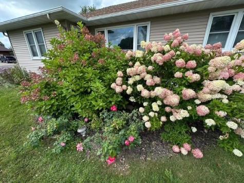524 Irving Avenue SW Wadena MN 56482