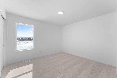 1911 Dogwood Court Carver MN 55315