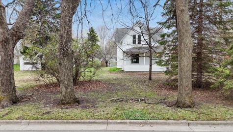 106 E Park Avenue Buffalo Lake MN 55332