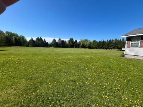 25573 Jolanne Lane Trout Lake Twp MN 55709