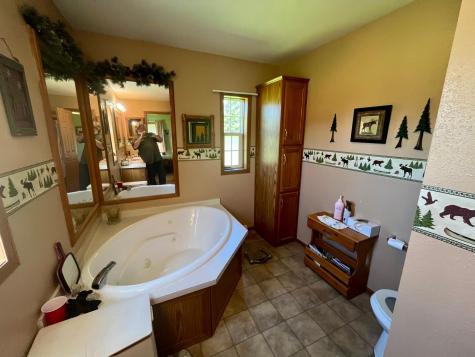 25573 Jolanne Lane Trout Lake Twp MN 55709