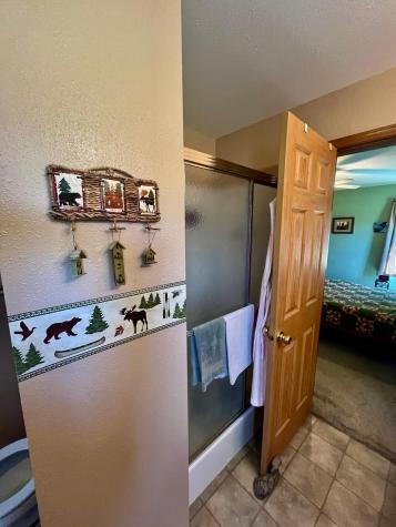 25573 Jolanne Lane Trout Lake Twp MN 55709