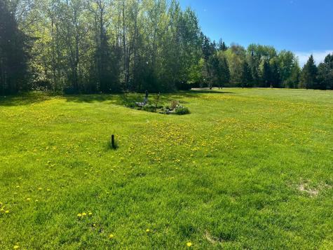 25573 Jolanne Lane Trout Lake Twp MN 55709