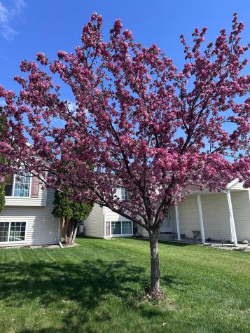 5980 24th Street S Fargo ND 58104