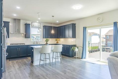 1407 Ironwood Court Carver MN 55315