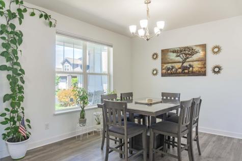 1407 Ironwood Court Carver MN 55315