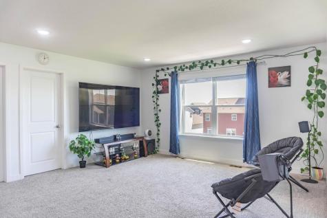 1407 Ironwood Court Carver MN 55315