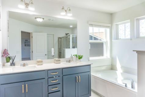 1407 Ironwood Court Carver MN 55315