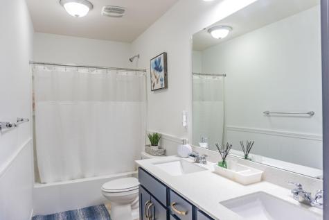 1407 Ironwood Court Carver MN 55315