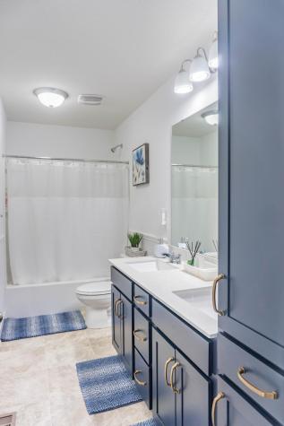 1407 Ironwood Court Carver MN 55315