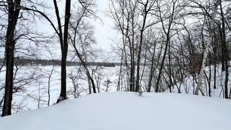 31598 SW Pickerel Lake Road Detroit Lakes MN 56501