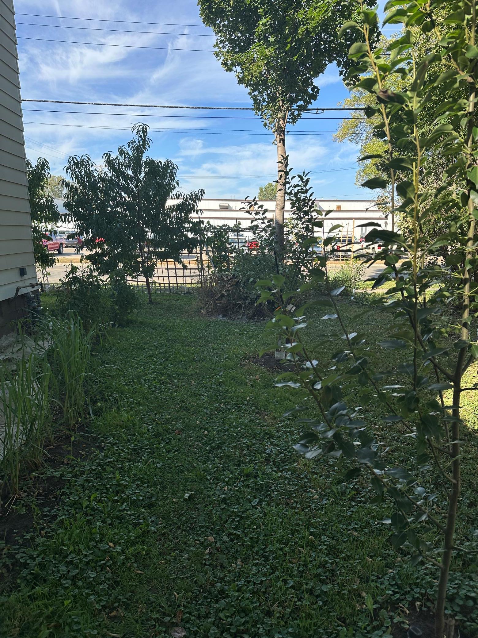 821 Madison Avenue Albert Lea MN 56007