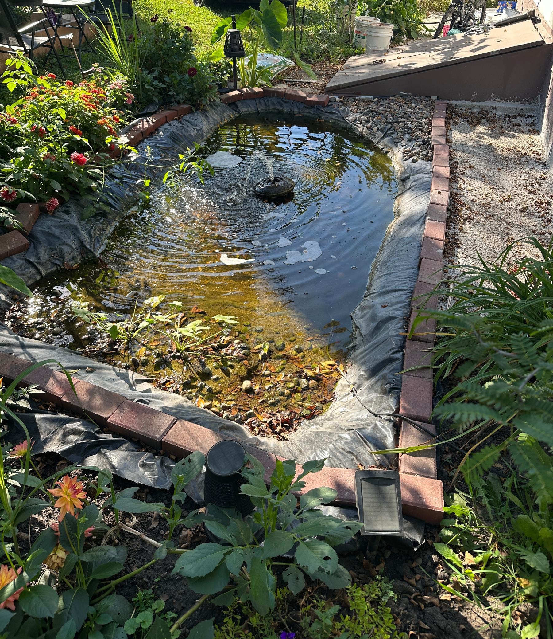 821 Madison Avenue Albert Lea MN 56007