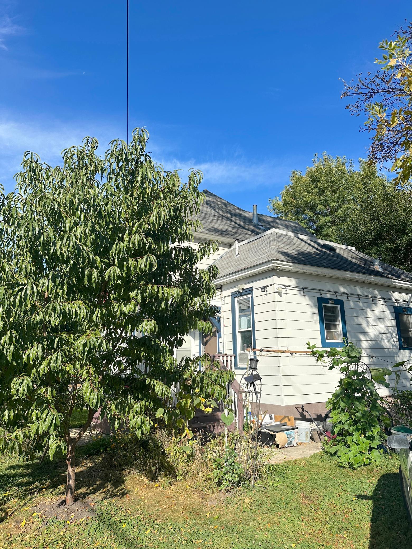 821 Madison Avenue Albert Lea MN 56007