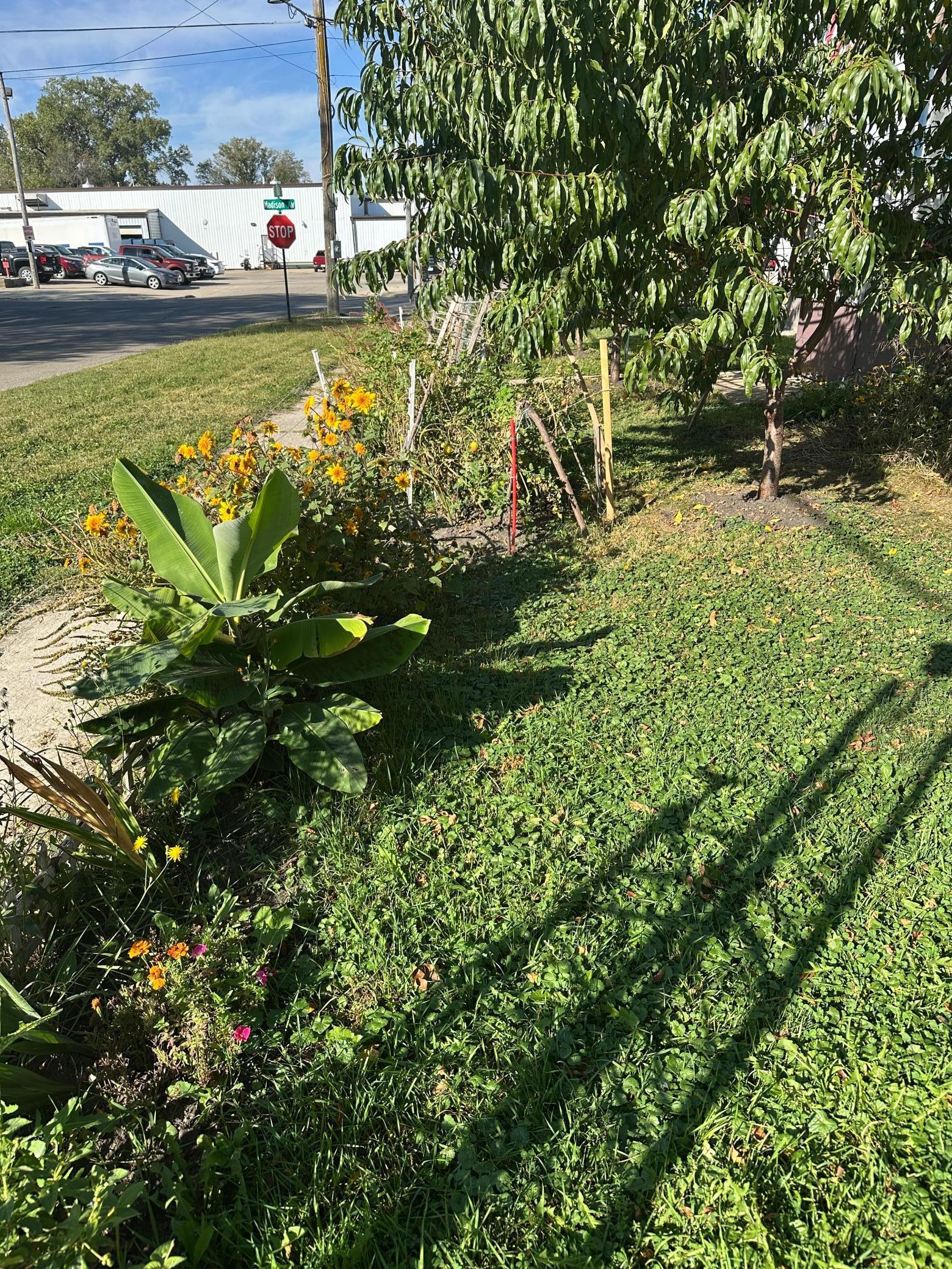 821 Madison Avenue Albert Lea MN 56007