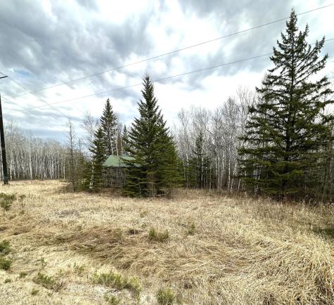 1656 78th Avenue NW Williams MN 56686