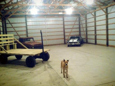 5976 County Road 141 Saint Augusta MN 56301