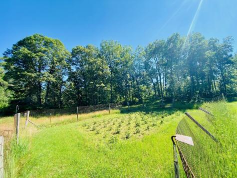W6524 Nancy Lake Road Minong WI 54859