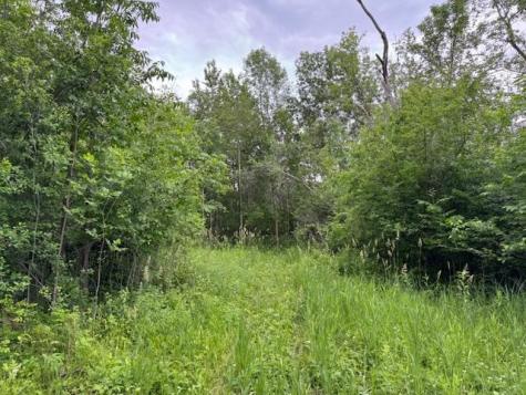 14717 State 210 Hewitt MN 56453